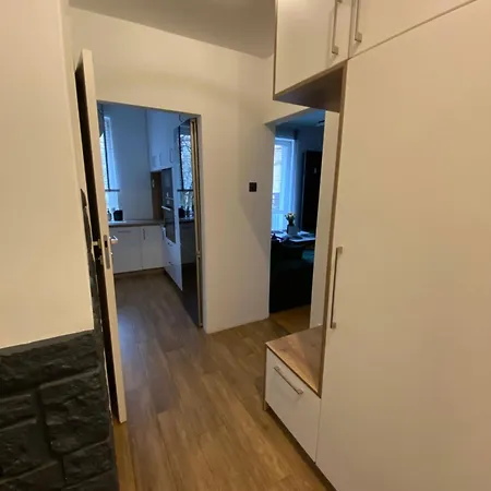 Apartment Starowka