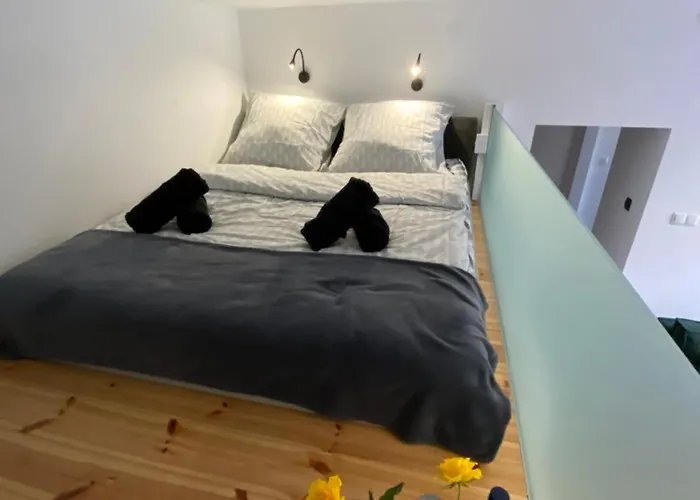 公寓 Starowka 科沙林